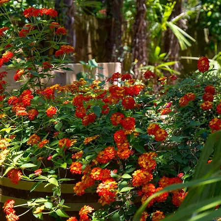 아파트 With A Parking Space - 23458 오파티아