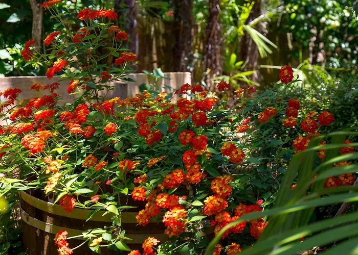 아파트 With A Parking Space - 23458 오파티아